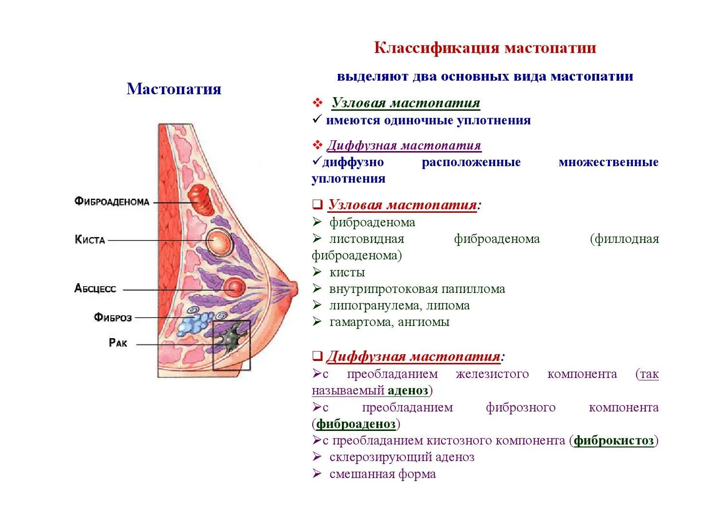 Печень и молочные железы. Узловая фиброзно-кистозная мастопатия. Фиброзно кистозный мастит. Формы фиброзно-кистозной мастопатии. Диффузная фиброзно-кистозная мастопатия молочных желез что это.