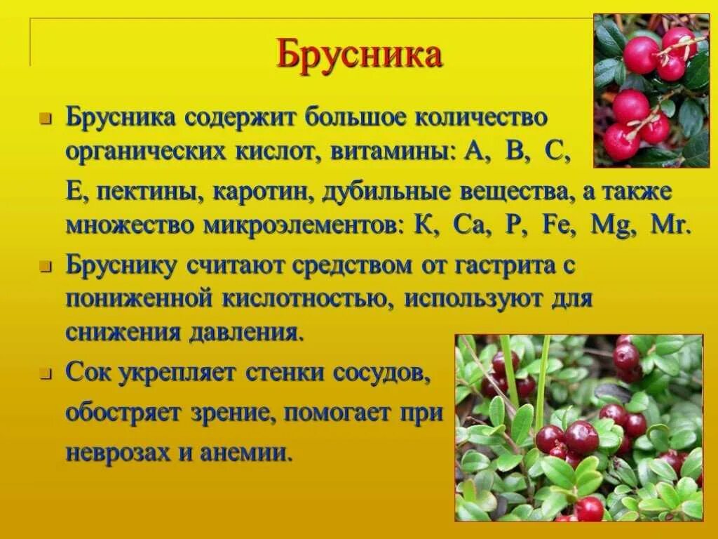 Чем полезна брусника. Чем полезна брусника для организма. Брусника полезные свойства. Чем полезна ягода брусника.