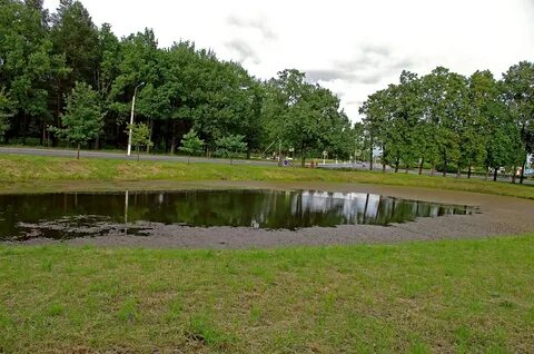 Ольгинский лесопарк