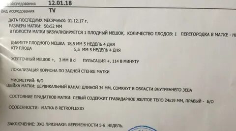 Матки 7