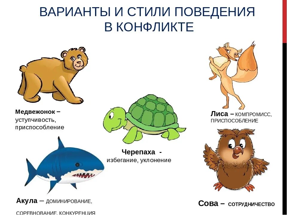 Черепаха приспособленность. ТТП поведения в конфликте. Стили поведения в конфликтной ситуации. Стиль животного поведение в конфликте. Стили поведения в конфликтной ситуации акула.