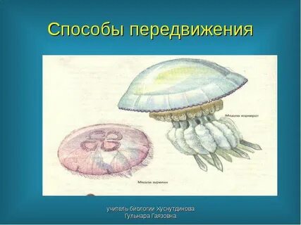Медуза перемещение