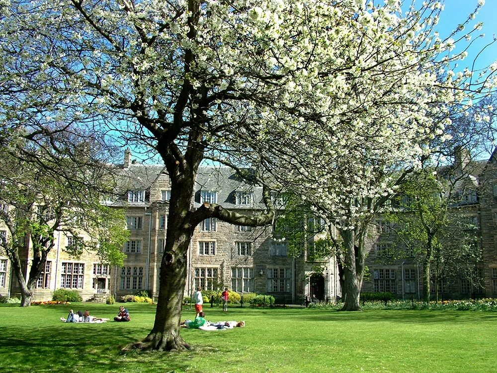 St andrews university