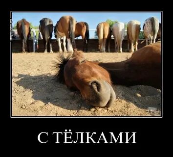 Дохнут лошади в плугу