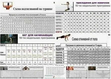 Отжиматься и подтягиваться каждый день