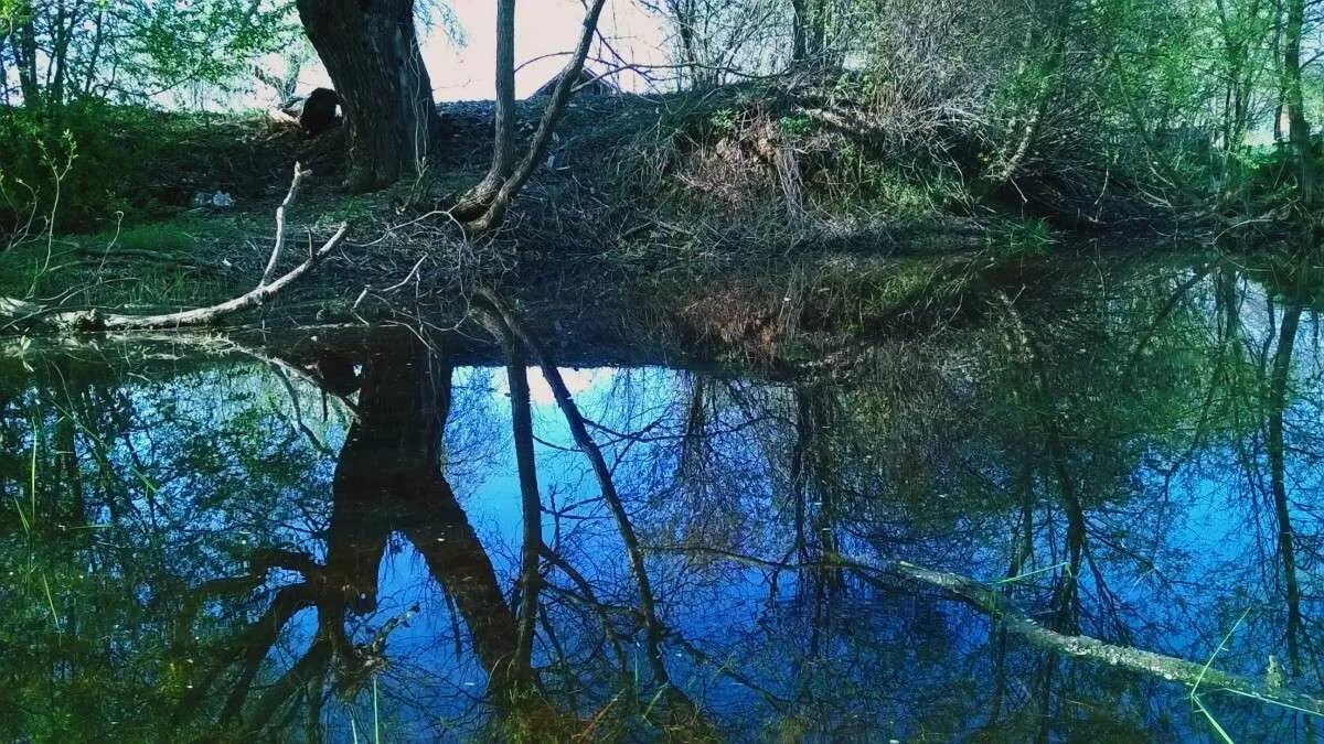 Заброшенный пруд. Папоротное горячий ключ. Озеро в Папоротном. Озеро в станице Калужской Краснодарский край.