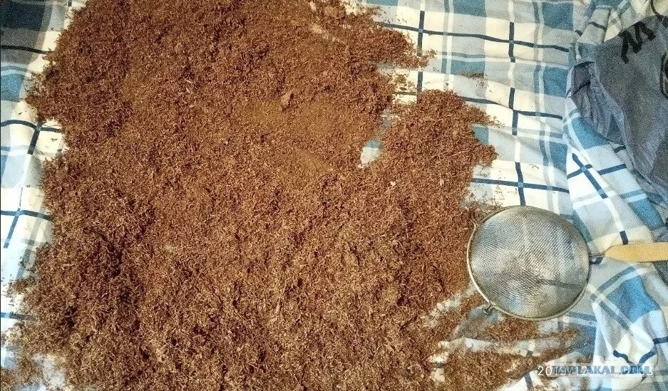 Как развести табачную пыль для опрыскивания. Как развести табачную пыль для опрыскивания