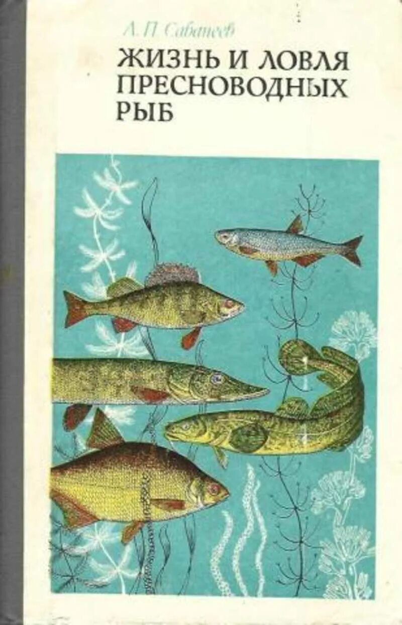 Жизнь пресноводных рыб сабанеев. Л П Сабанеев жизнь и ловля пресноводных рыб книга.
