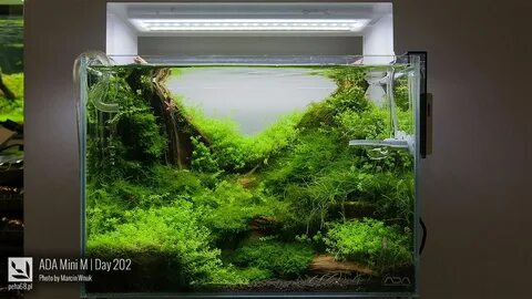 Ada mini