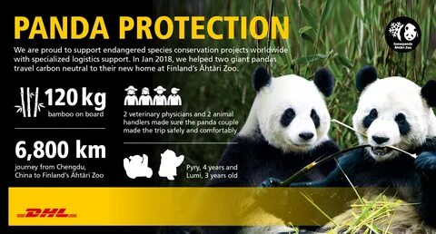 Panda отзывы