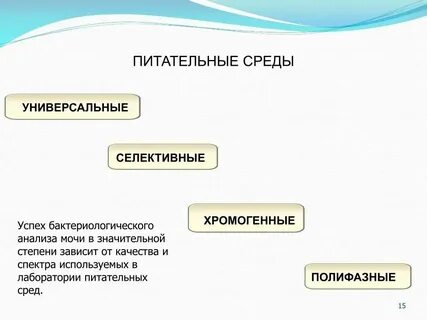 Степени зависит от уровня его