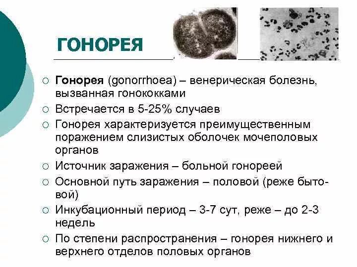 Общая характеристика гонококковой инфекции. Гонорея краткая характеристика. Характеристика заболевания гонорея. Гонорея инфекционное заболевание вызываемое. Гонококки хламидии