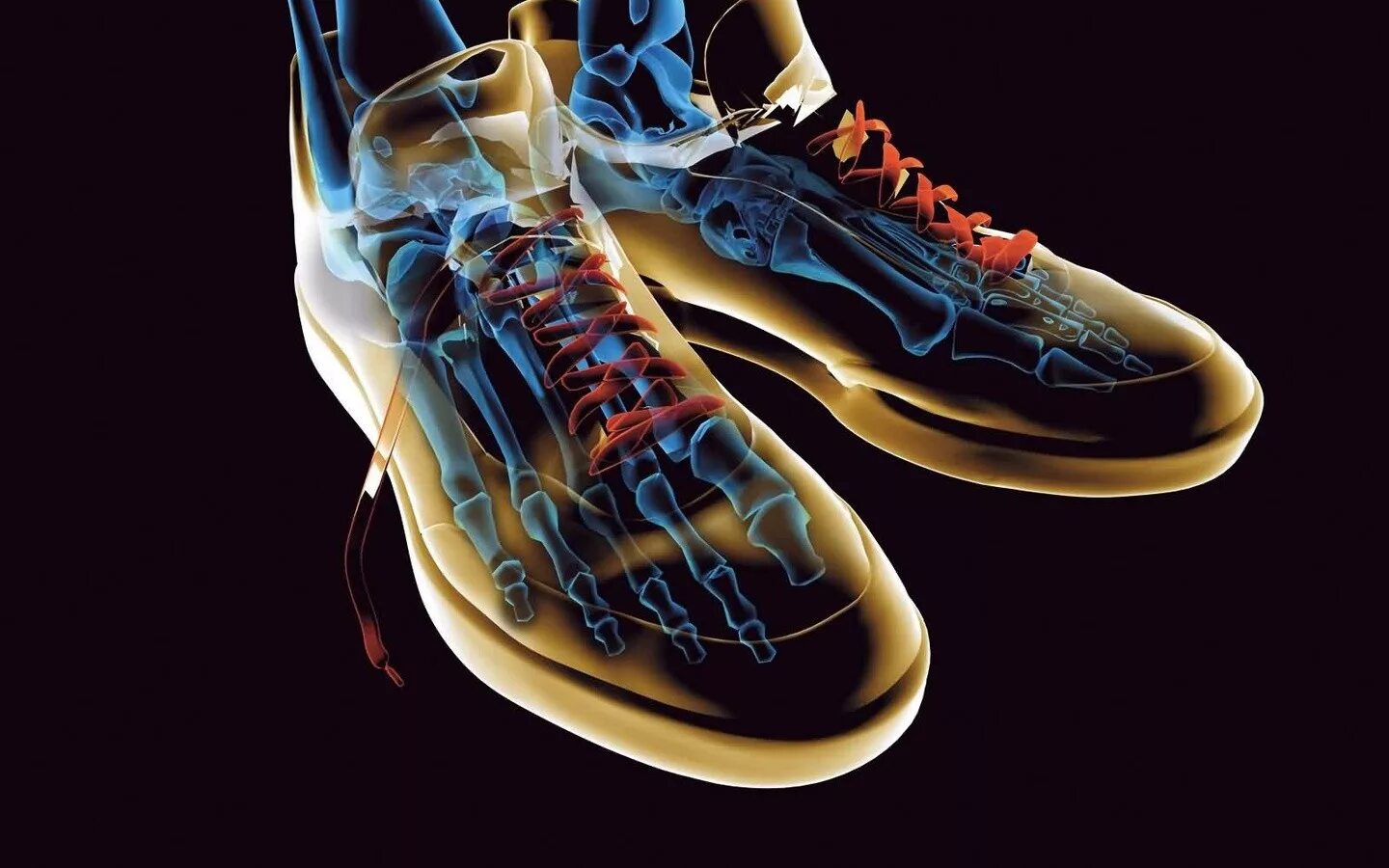 3d ml