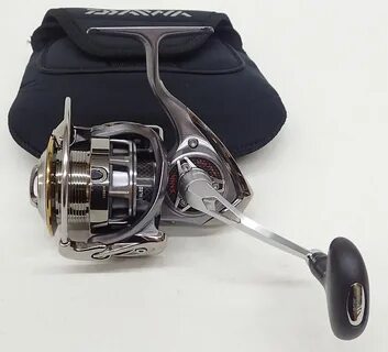 Daiwa exist