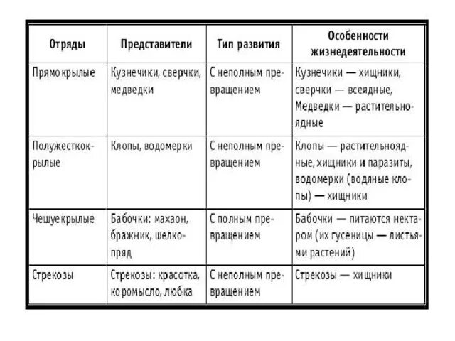 Отряд насекомых тип развития. Отряды насекомых таблица 7 класс по биологии. Таблица по насекомым 7 класс биология отряды характеристики. Таблица по биологии 7 класс отряды насекомых представители. Таблица класс насекомые 7 класс биология таблица.