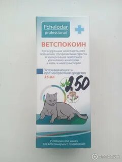 Какие успокоительные для кошек