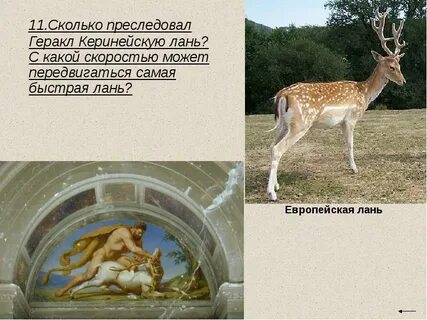 Список ланью