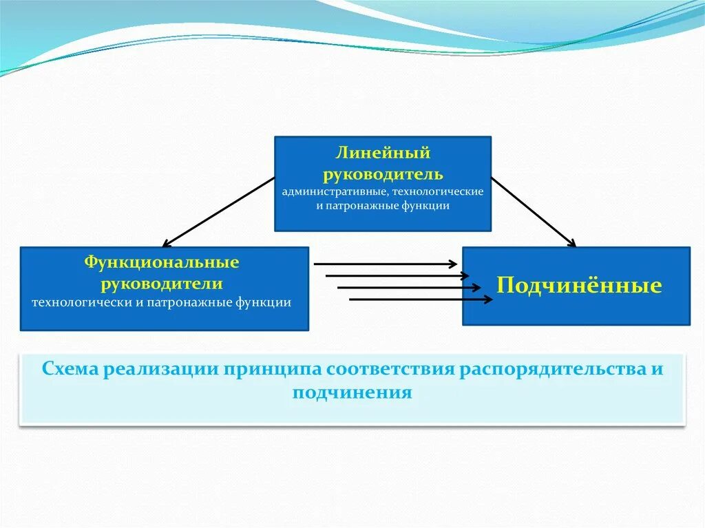 Линейный и функциональный руководитель разница. Линейное и функциональное руководство. Функциональный руководитель это. Линейный руководитель и функциональный руководитель. Функциональный руководитель в организации