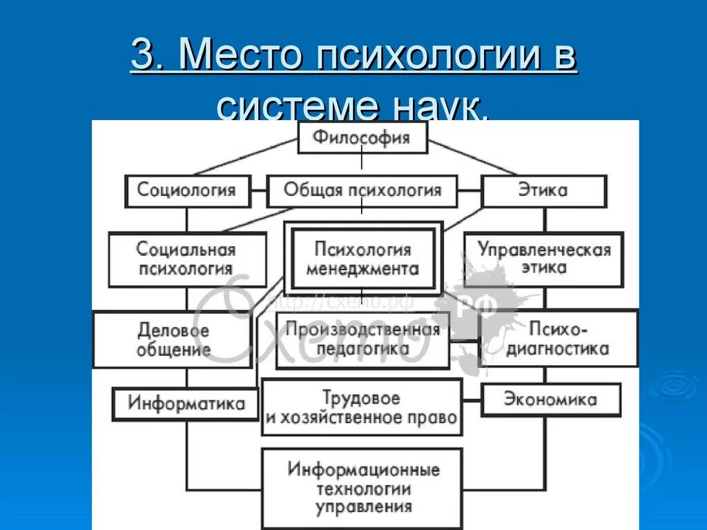 Место психологии в системе наук схема. Место социальной психологии в системе наук схема. Место социальной психологии в структуре наук. Система психологических наук схема. Психология в системе научных знаний