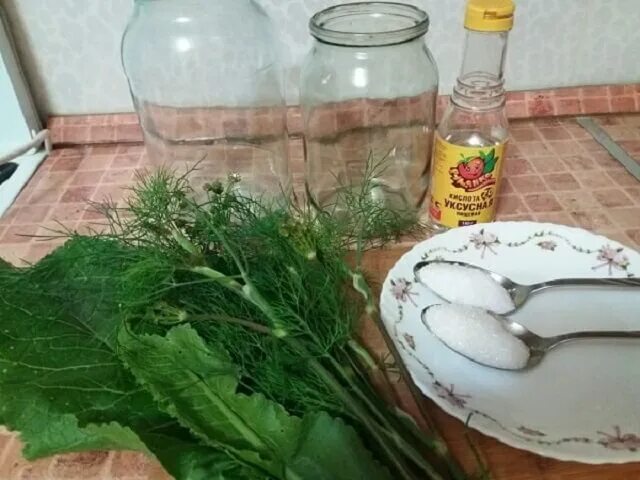 Засолка листьев хрена на зиму