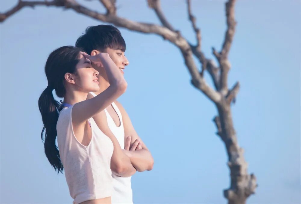 Tao c