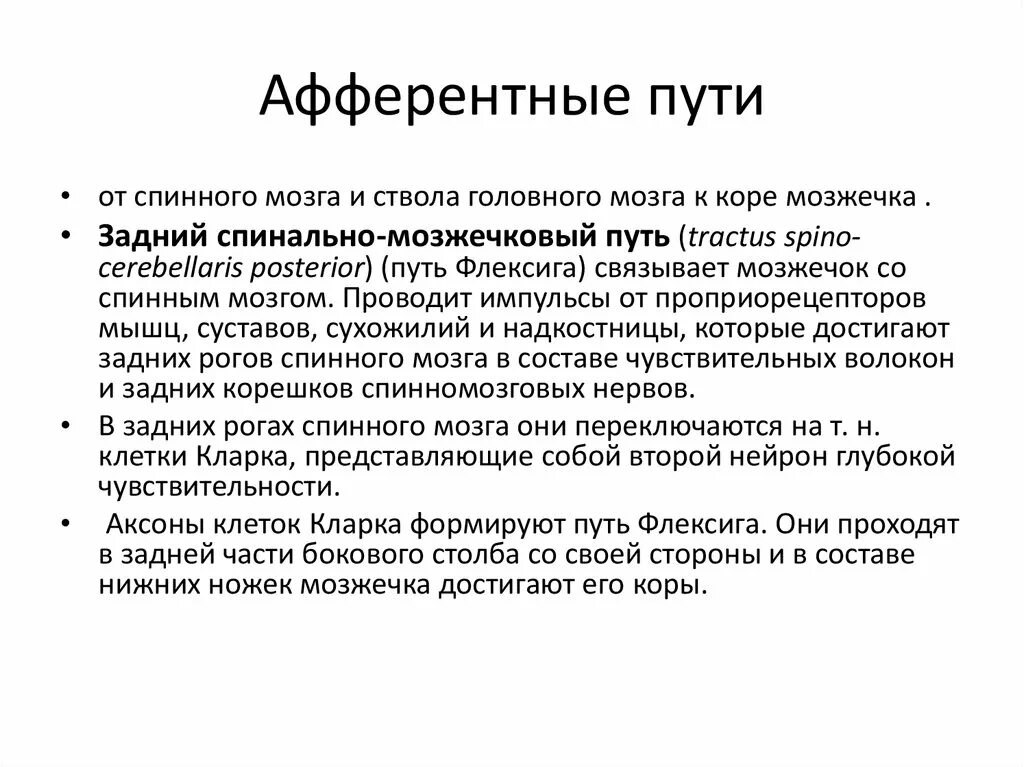 Афферентные пути. Афферентные и эфферентные пути. Клетки Кларка. Клетки Кларка в легких. Афферентация это