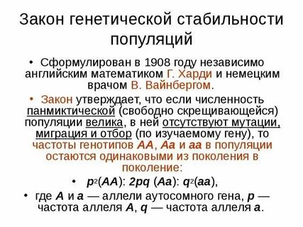 Закон генетического равновесия 11 класс