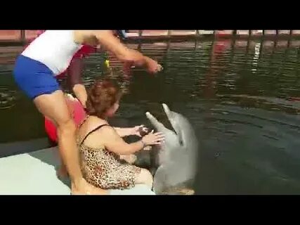 Женщина дельфин видео