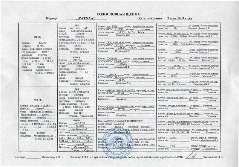 Щенячку на родословную