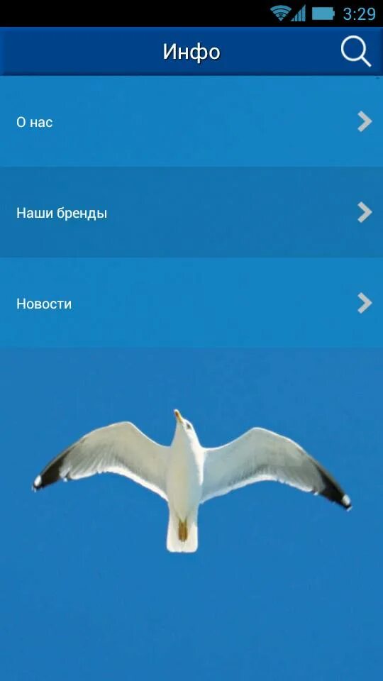 Чайка нет тверь. Чайки в твери. тверь чайка разворот.