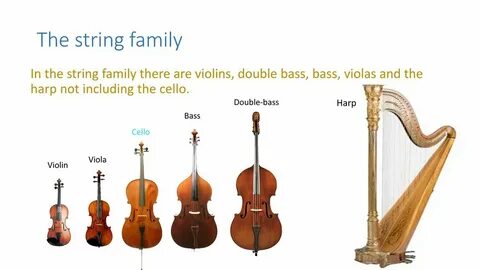 Violin перевод на русский