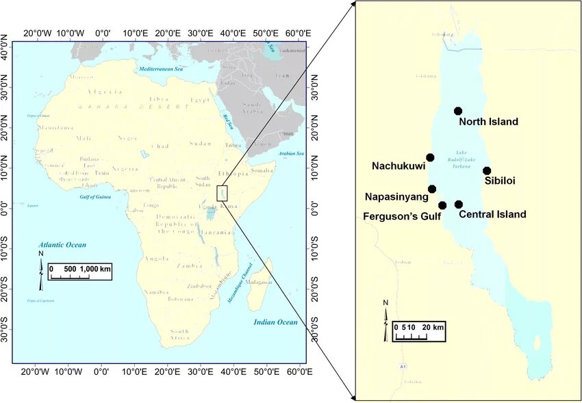Locations of some famous Ardipithecines and Australopithecines fossils in Africa