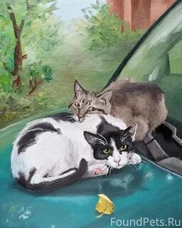 Оба коты