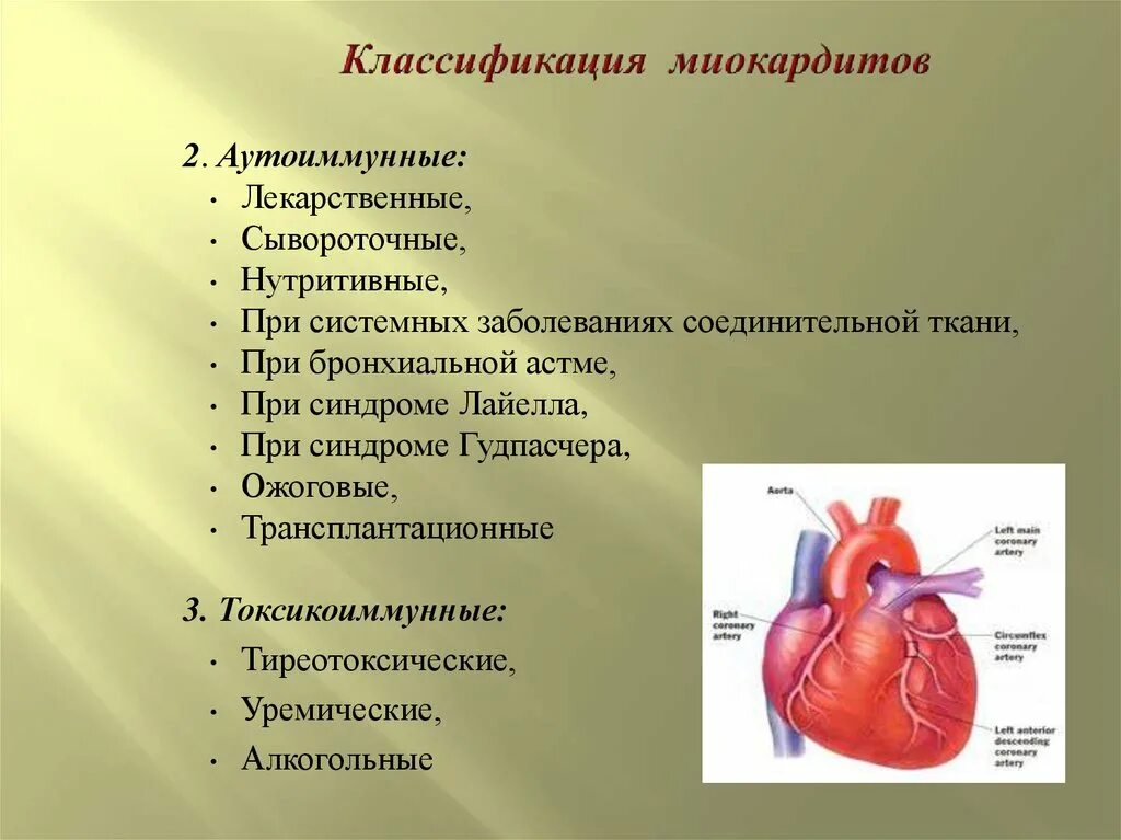Содержание сердечный. Содержание сердечный