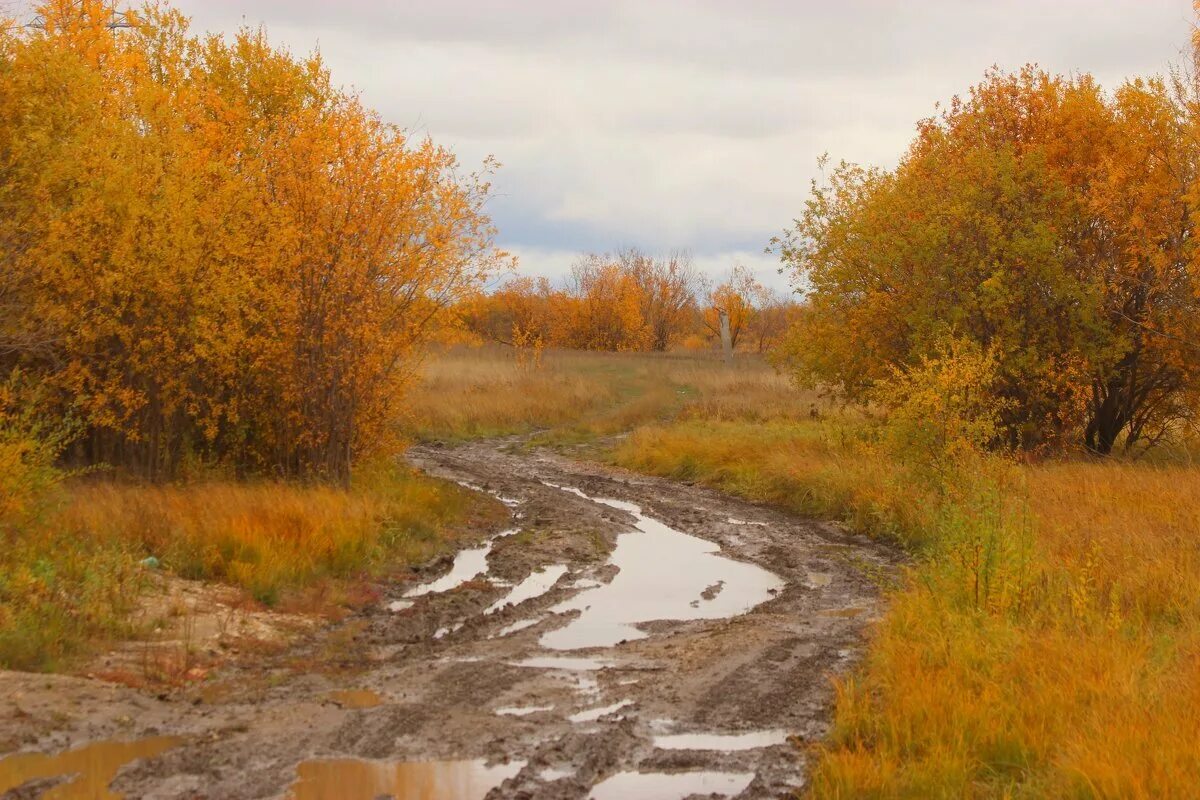 Осеннюю слякоть. Поздняя осень грязь. осень грязь. осенние пейзажи с лужами. осенняя слякоть.