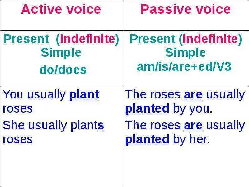 Present simple active voice. Present indefinite active and passive. present simple активный и пассивный залог. present simple действительный залог. пассивный залог present simple.
