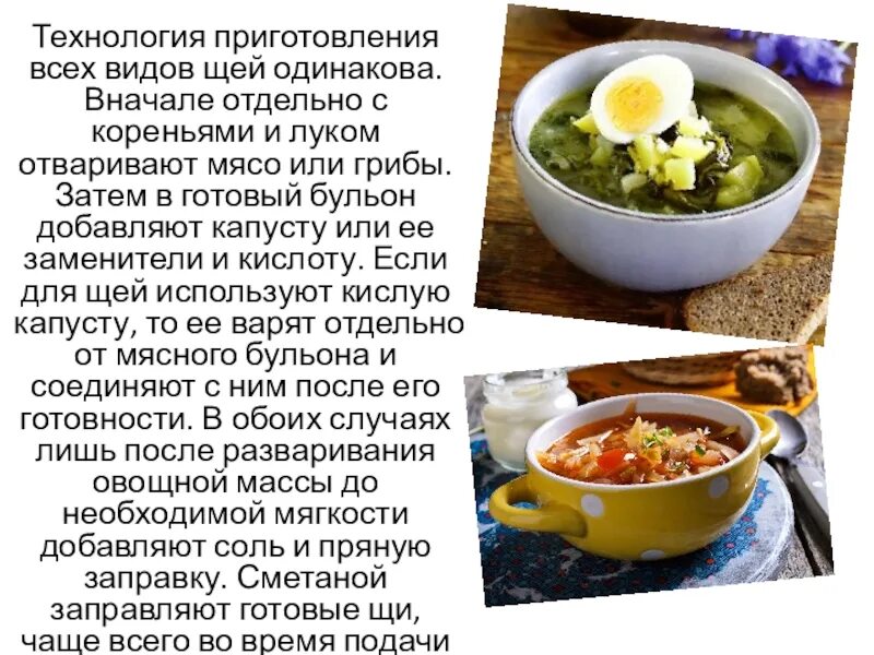 Щи особенности приготовления. Щи особенности приготовления