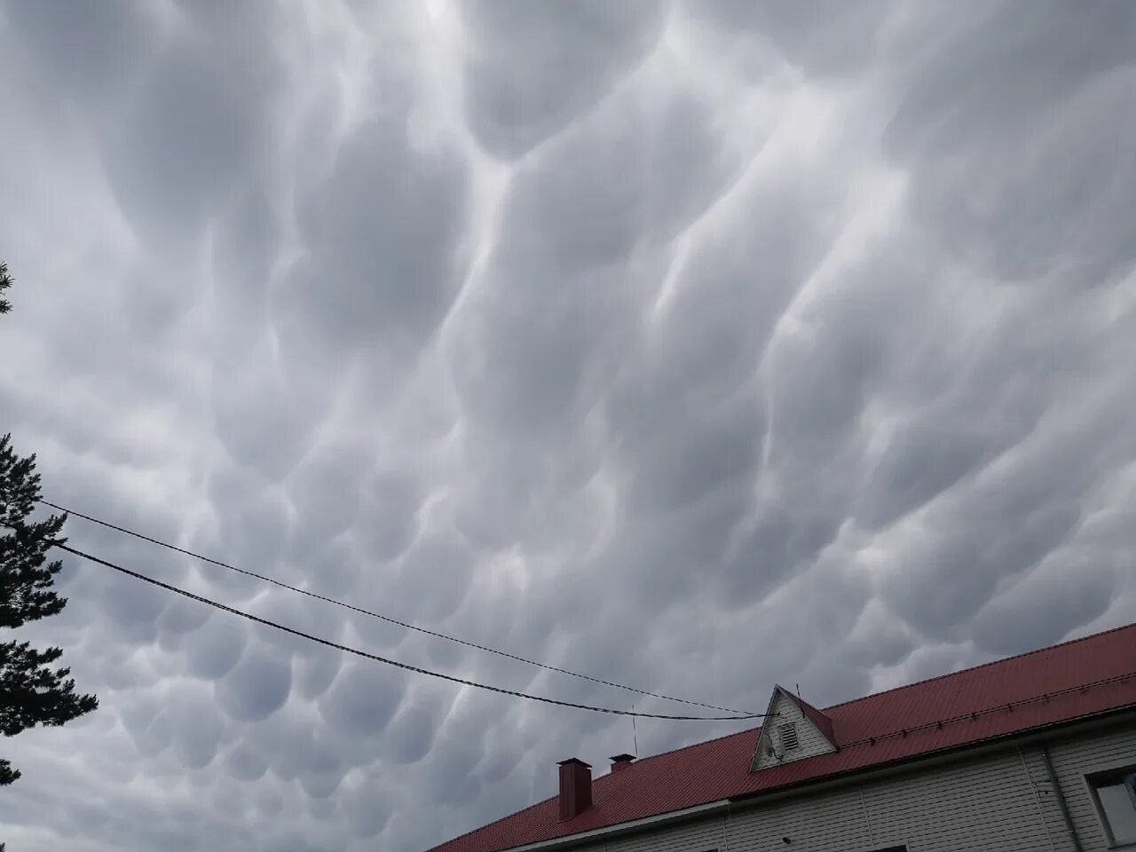 Порывы ветра. В виду непогоды. Порывы ветра 10