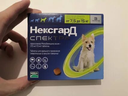 Нексгард сколько действует