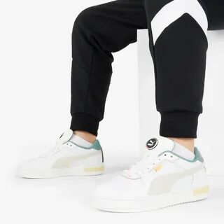 Puma ca pro