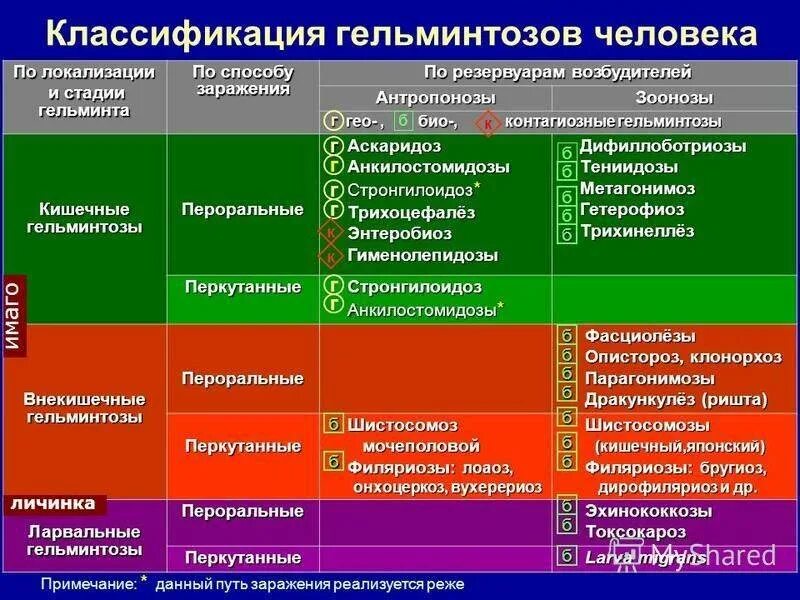 Перкутанный путь заражения. Гельминты возбудители заболеваний человека таблица. Классификация гельминтозов. Виды гельминтов таблица. Глисты классификация.