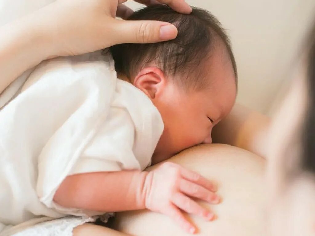 Menyusui pacar. Беременные азиатские пары. Menyusui pacar. Indo bocil ciuman. Abg ml ciuman.