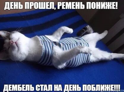 Спокойно низкий