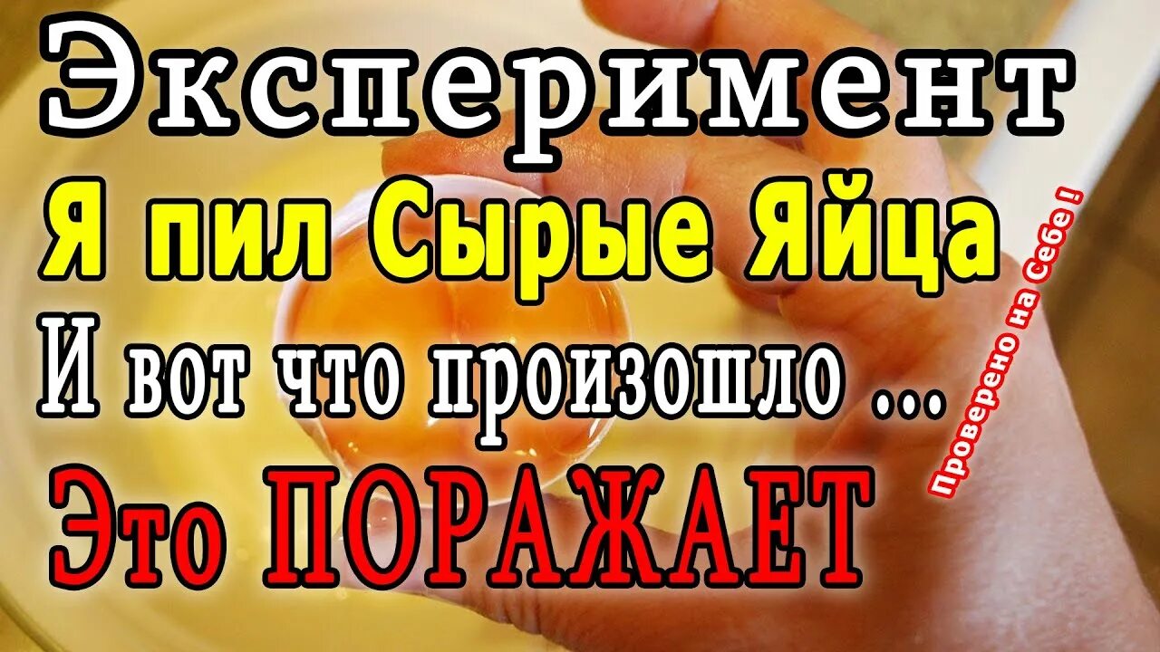 Как правильно пить яйцо. Что будет если есть сырые яйца. Пить сырые яйца полезно. Полезно ли есть сырое яйцо натощак. Полезно выпивать яйцо.