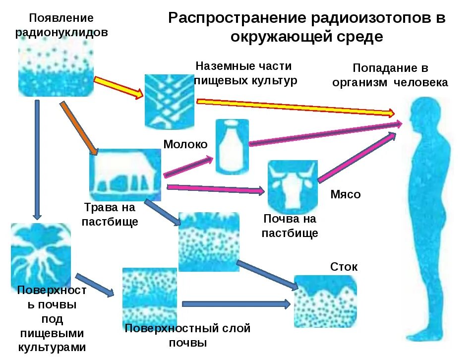 Источники и пути поступления радионуклидов в организм. Пути поступления радионуклидов в организм человека. Распространение радиоактивных веществ в окружающей среде. Распространение радионуклидов в окружающей среде. Вода проникающие в организм