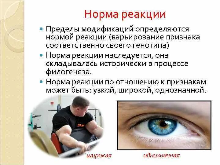 ПРИЗНАКИ С УЗКОЙ НОРМОЙ РЕАКЦИИ ПРИМЕРЫ photos