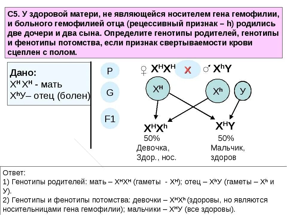 Отец доминирует над дочерью