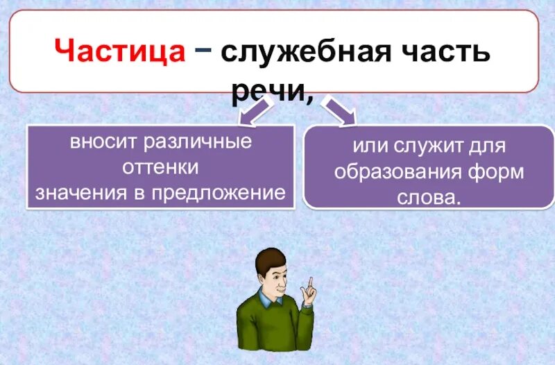 К каким словам относятся частицы. Как определить роль в предложении частицы. К каким словам относятся частицы. Частица не роль в предложении. Частицы в русском языке.