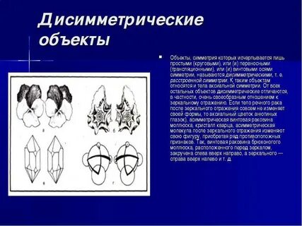 Лишь простейшие