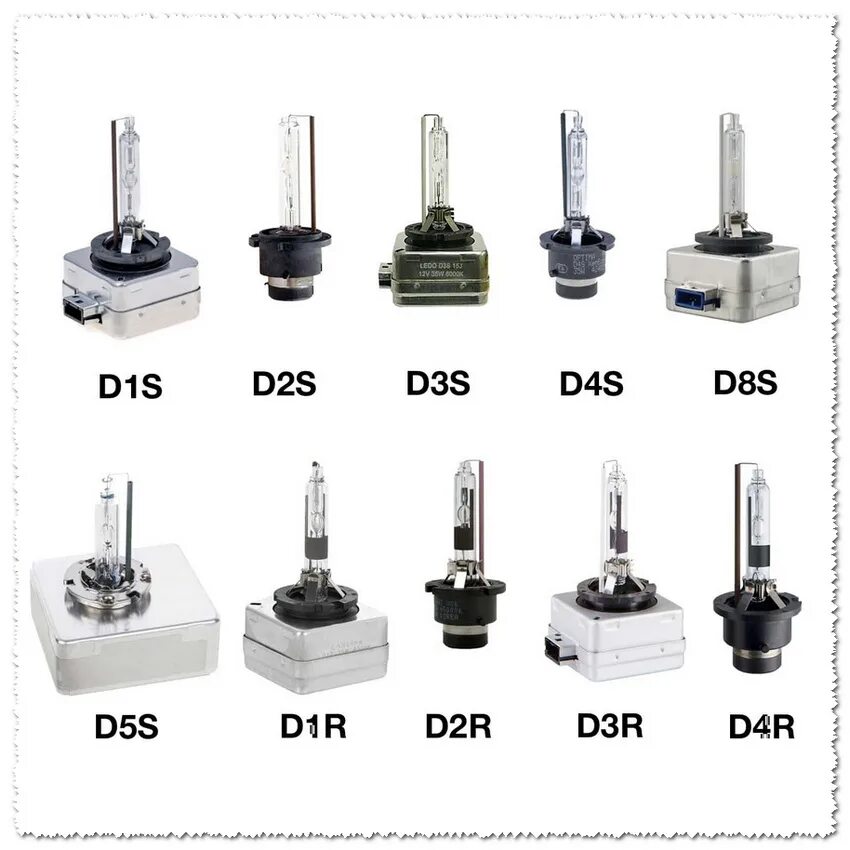 Цоколь ксеноновой лампы 12 вольт. Лампы ксенон ф 1101. Цоколи автомобильных ламп ксенон. Цоколи ксенона р22d.